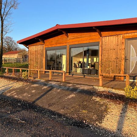 Petit Chalet Au Coeur De La Foret Proche Disney La Houssaye-en-Brie Exteriör bild